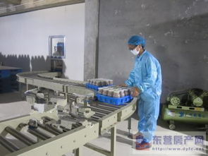 東營(yíng)市產(chǎn)業(yè)雙輪驅(qū)動(dòng) 食用菌產(chǎn)業(yè)發(fā)展與房地產(chǎn)開(kāi)發(fā)的協(xié)同并進(jìn)