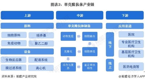 預見2024 中國單克隆抗體行業(yè)全景圖譜及計算機軟硬件開發(fā)的融合趨勢